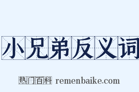 小兄弟反义词是什么意思的图片